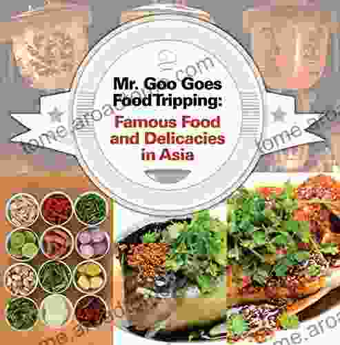 Mr Goo Goes Food Tripping: Famous Food and Delicacies in Asia s: Asian Food and Spices for Kids (Children s Explore the World 1)