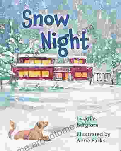 Snow Night Jay Goldman