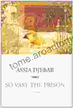 So Vast The Prison: A Novel