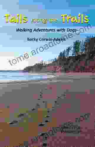 Tails Along The Trails: Walking Adventures With Dogs