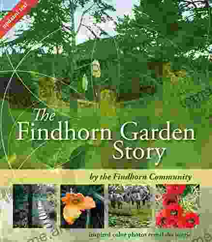 The Findhorn Garden Story: Inspired Color Photos Reveal the Magic