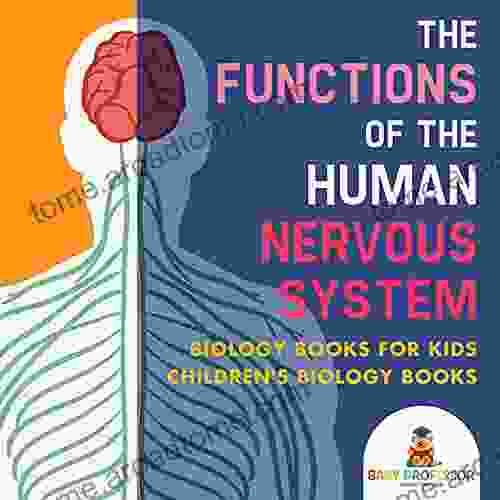 The Functions of the Human Nervous System Biology for Kids Children s Biology