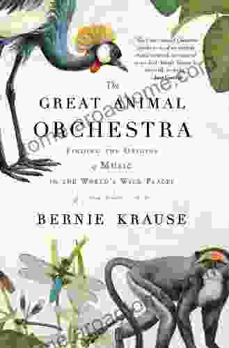 The Great Animal Orchestra: Finding The Origins Of Music In The World S Wild Places