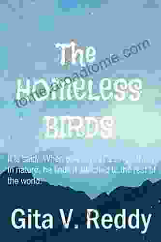 The Homeless Birds (Short Chapter For Ages 8 12)