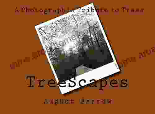 TreeScapes: A Photographic Tribute To Trees