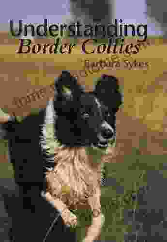 Understanding Border Collies Barbara Sykes