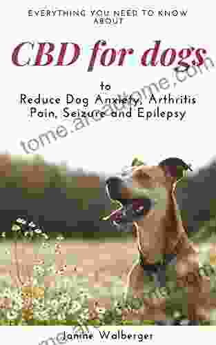 CBD For Dogs: To Reduce Dog Anxiety Arthritis Pain Seizure And Epilepsy