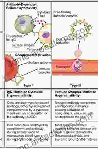 Drug Hypersensitivity And Desensitizations An Issue Of Immunology And Allergy Clinics Of North America (The Clinics: Internal Medicine 37)