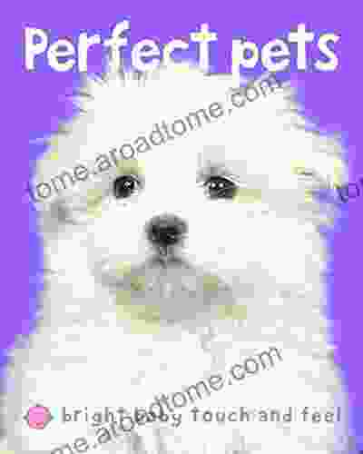 Bright Baby Perfect Pets: Touch and Feel (Bright Baby Touch and Feel)